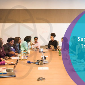 Supervisor Training for Professionals