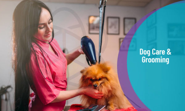 Dog Care and Grooming Course