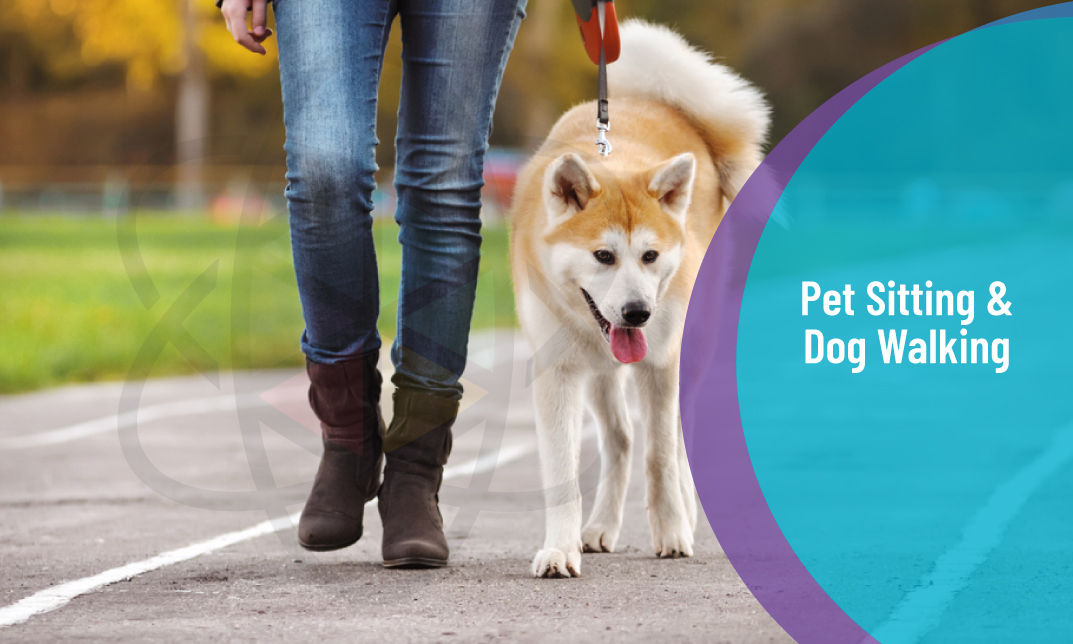 Pet Sitting and Dog Walking Diploma