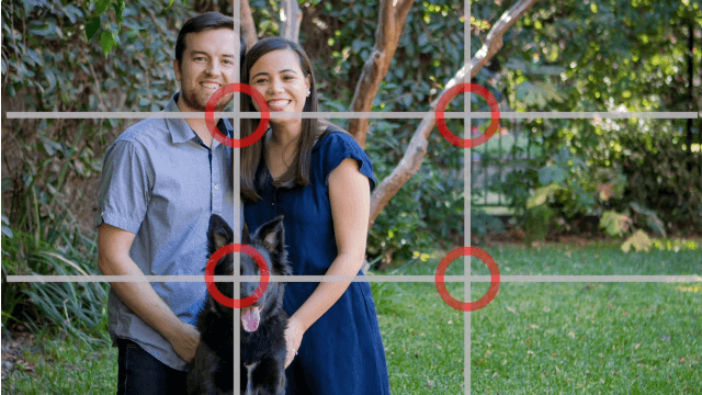online photography training