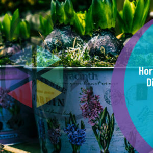 Diploma in Horticulture