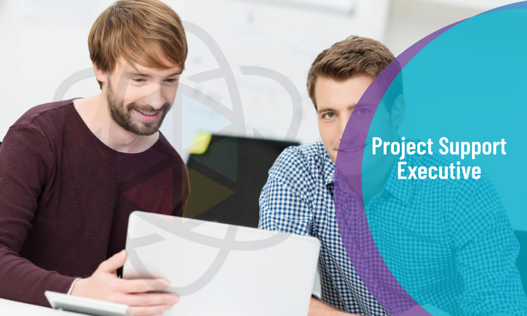 Project Support Executive Course