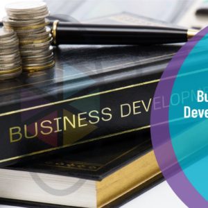 Business Development Techniques
