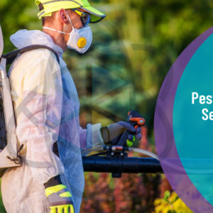 Certificate in Pest Control Services