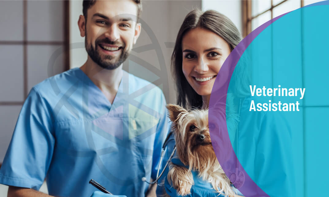 Veterinary Assistant Diploma Level 3