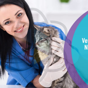 Veterinary Nursing Level 3