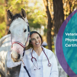 Veterinary Physiotherapist Certificate - Level 2