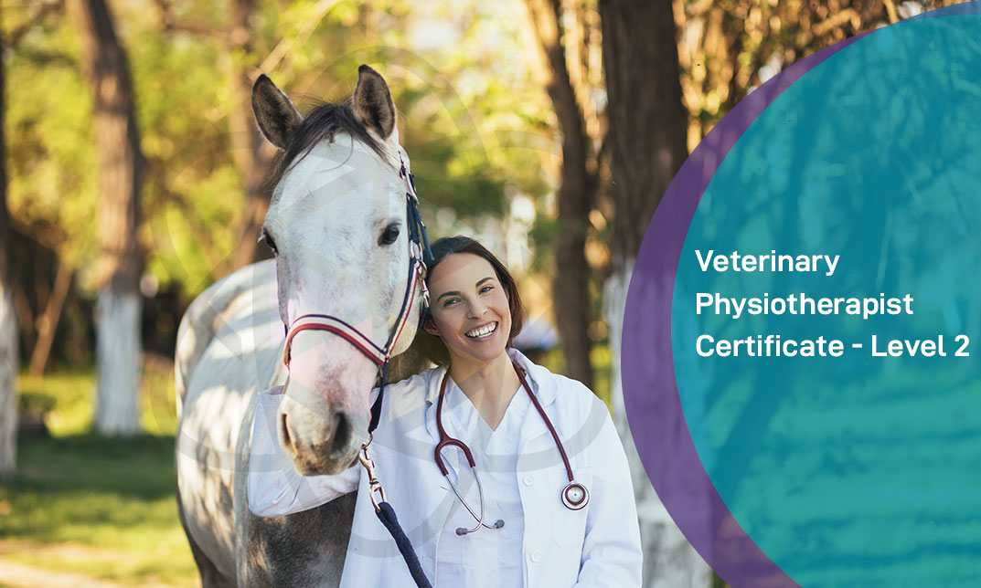 Veterinary Physiotherapist Certificate - Level 2