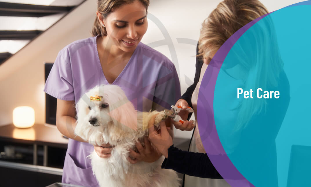 Complete Pet Care Training Pet First Aid, CPR and Pet