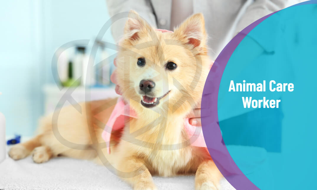 Animal Care Worker Course Online - One Education