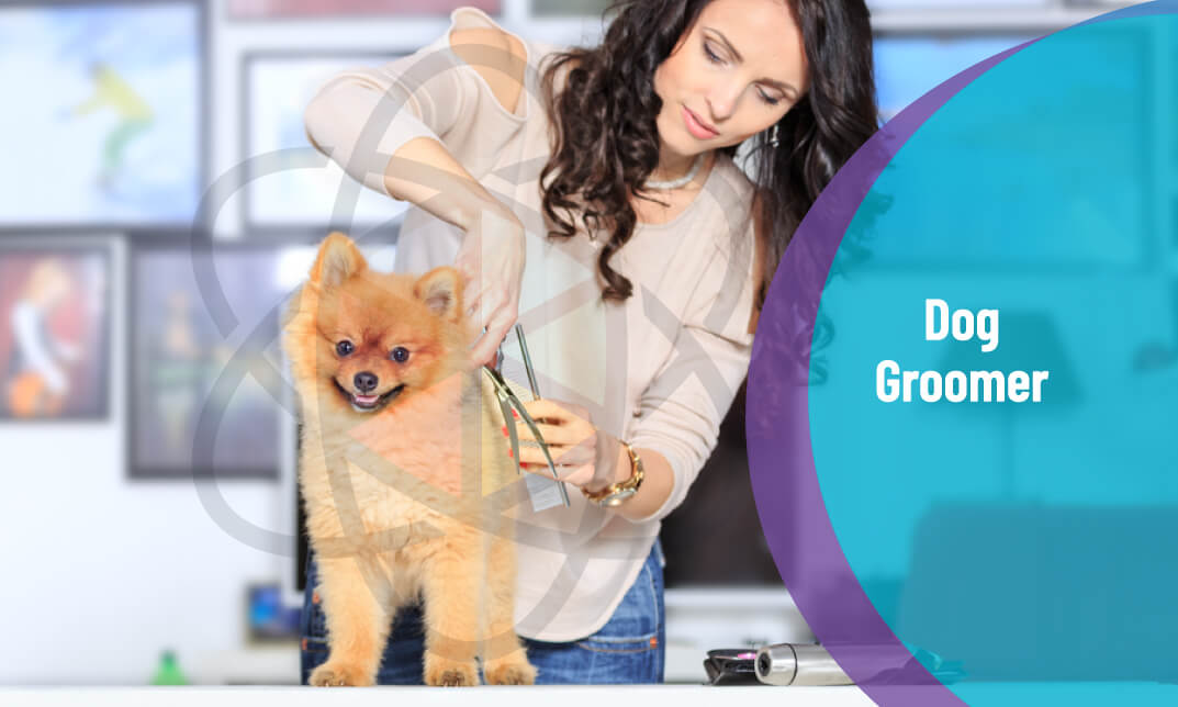 Dog Groomer Training Diploma