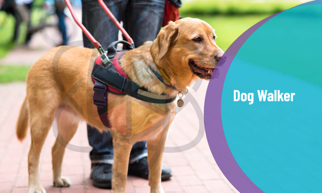 Dog Walker Training Course