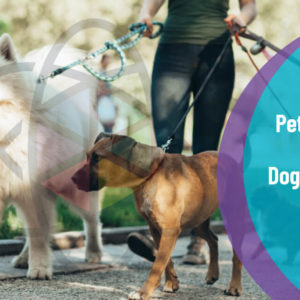 Pet Sitter and Dog Walker Training Diploma