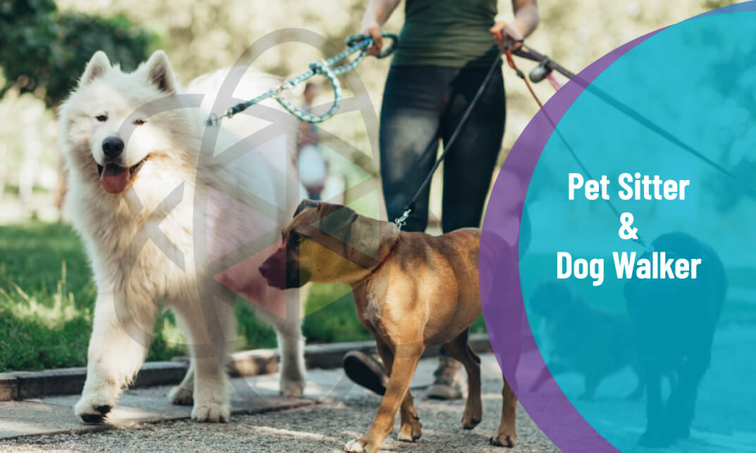 Pet Sitter and Dog Walker Training Diploma