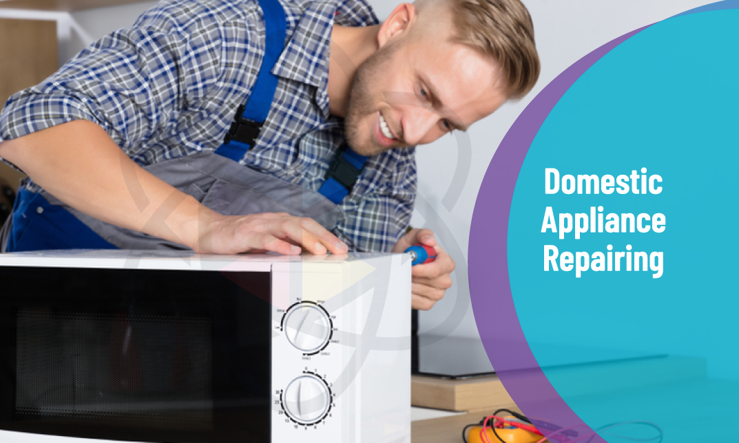 Domestic Appliance Repairing Course