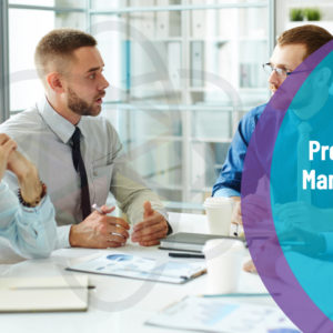 Certified Project Manager