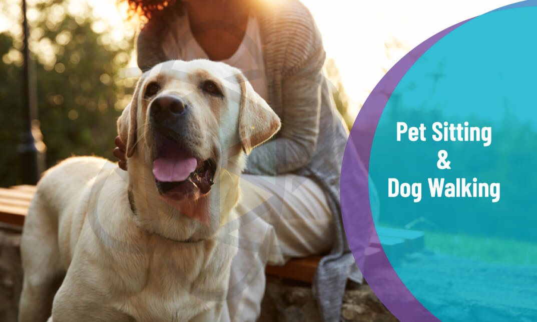 Pet Sitting and Dog Walking