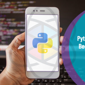 Python For Beginners