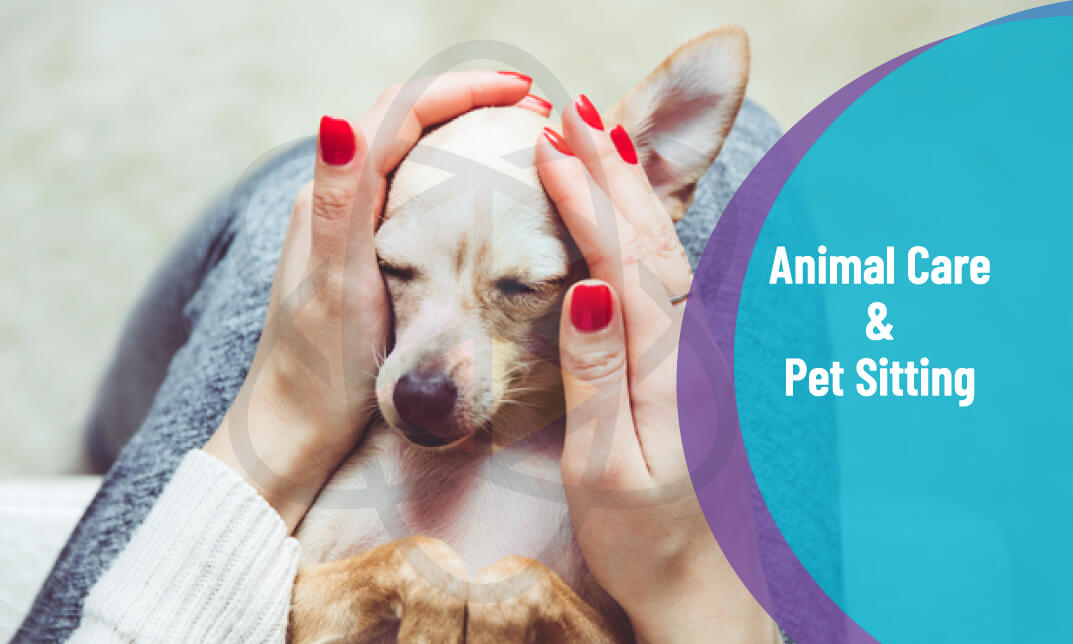 Animal Care and Pet Sitting