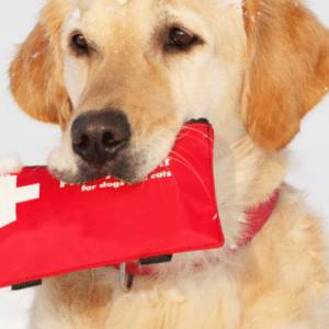 Pet First Aid Course