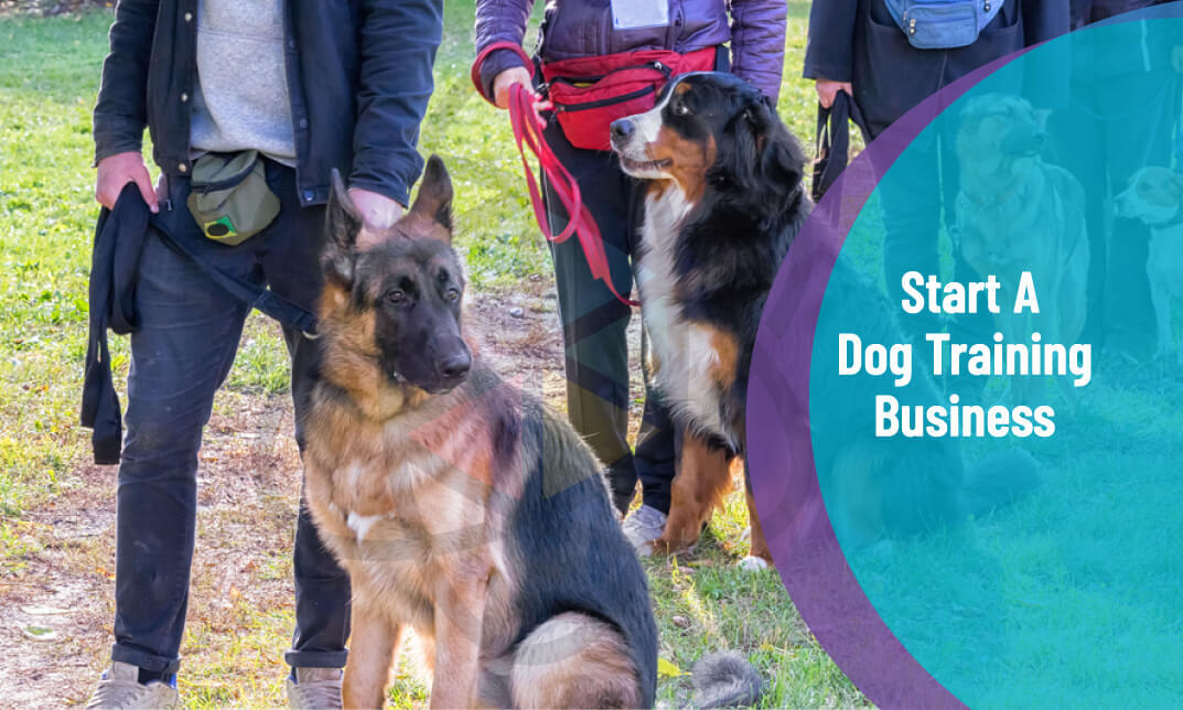 Dog Training - Start A Dog Training Business