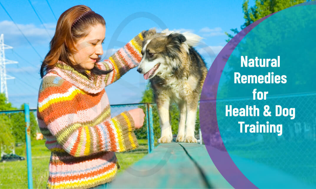 Dog Training - Natural Remedies for Health & Dog Training