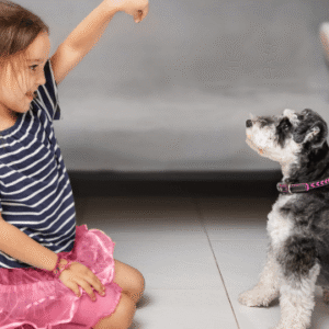 Dog Training - Train Puppies