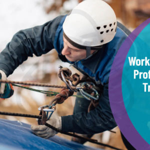 Working Safely Professional Training