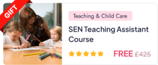 SEN Teaching Diploma | Level 5 Special Needs Educators – One Education