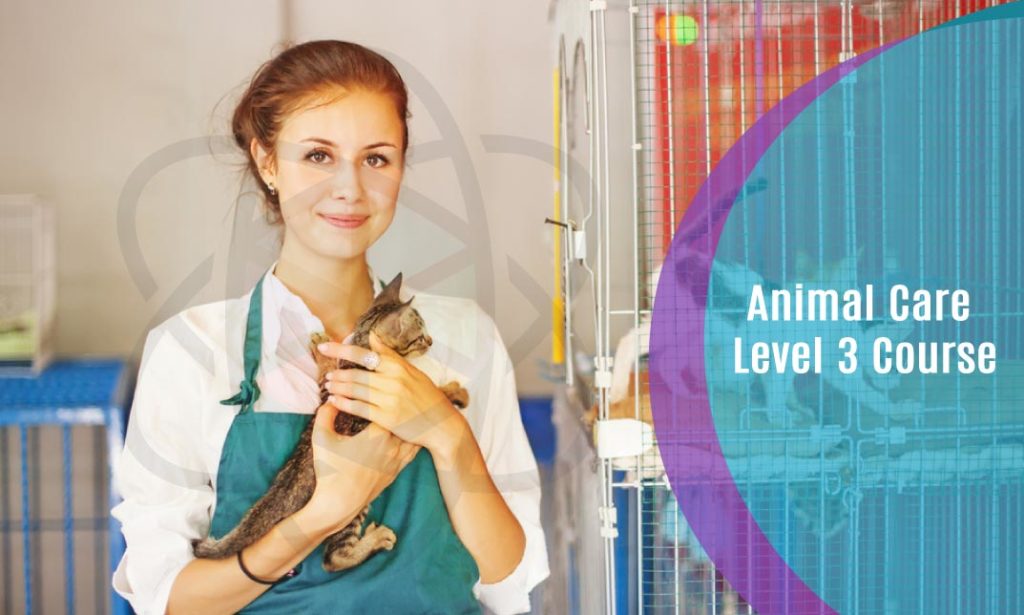 Animal Care Level 3 Course One Education
