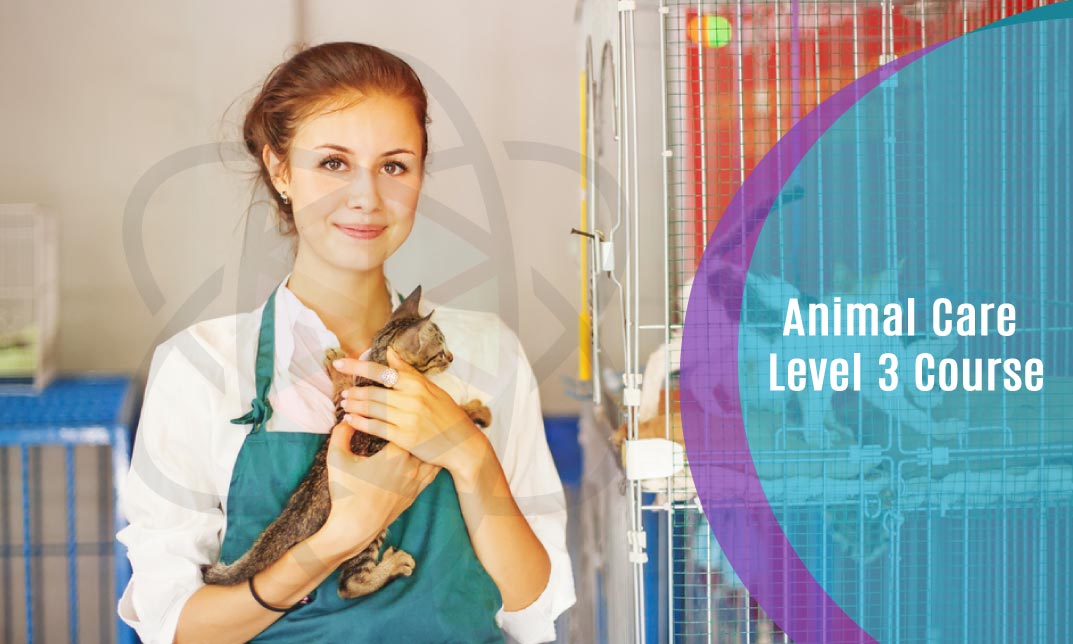 Animal Care Level 3 Course