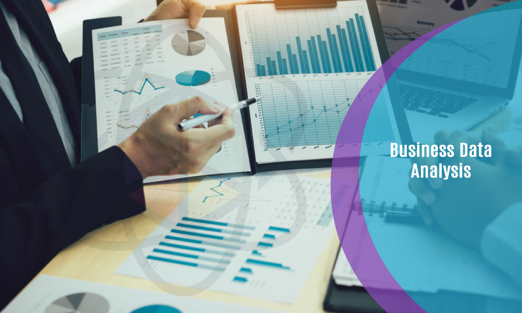 Business Data Analysis