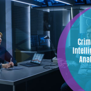 Criminal Intelligence Analyst