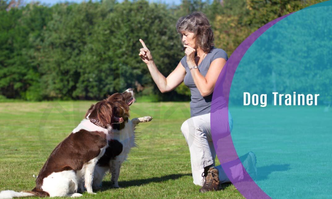 Dog Trainer Complete Career Guide 5 Courses In 1 One