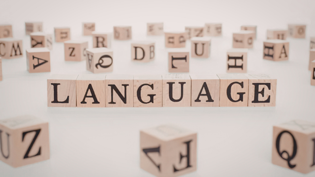 Launage Learning Language Learning Bundle – One Education