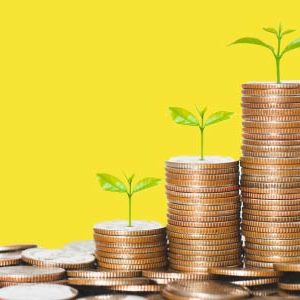Financial Wellness: Managing Personal Cash Flow