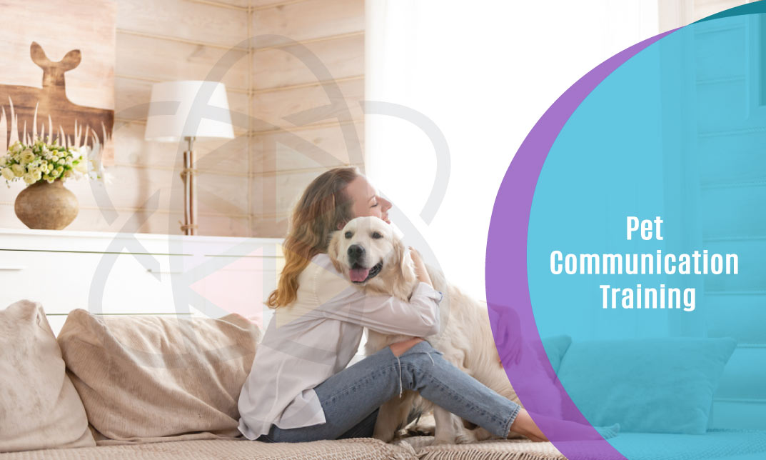 Pet Communication Training