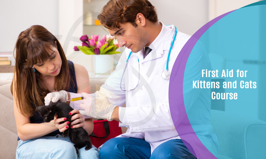 First Aid for Kittens and Cats Course- Level 3