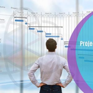 Project Manager