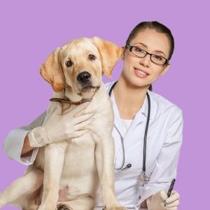 Veterinary Nursing Level 3