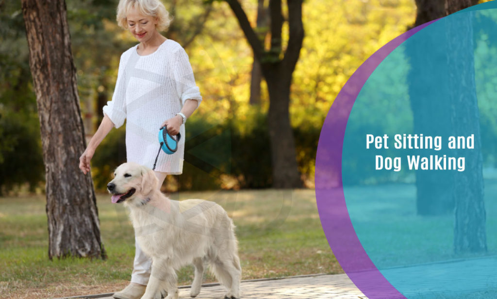 Pet Sitting and Dog Walking One Education