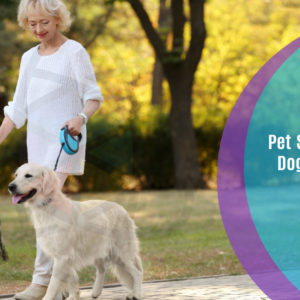 Pet Sitting and Dog Walking