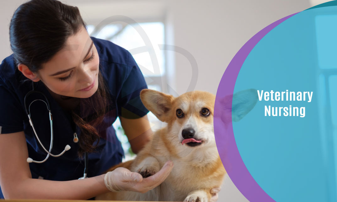 Veterinary Nursing