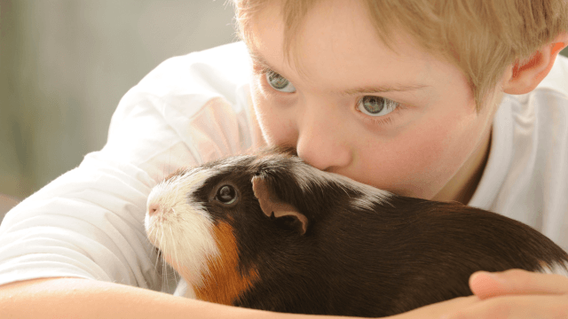 Animal Behaviour, Psychology, Care, Health and Nutrition- Complete Course