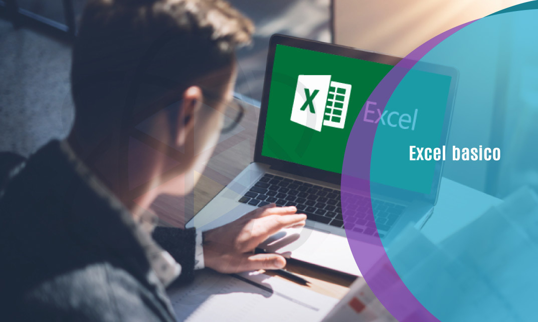 Excel Basico