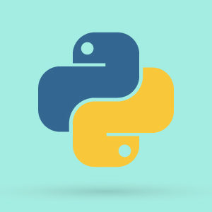 Python 3.9 Coding Skills