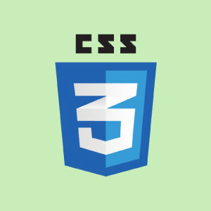 CSS 201