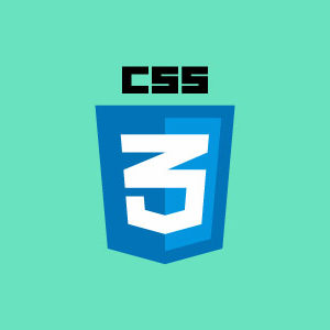 CSS 101
