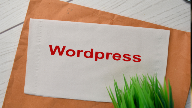 Wordpress for Beginner