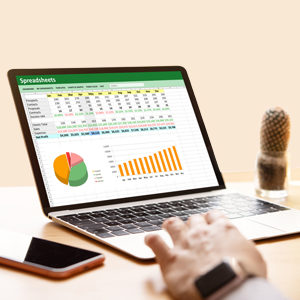 Excel spreadsheet for Beginner